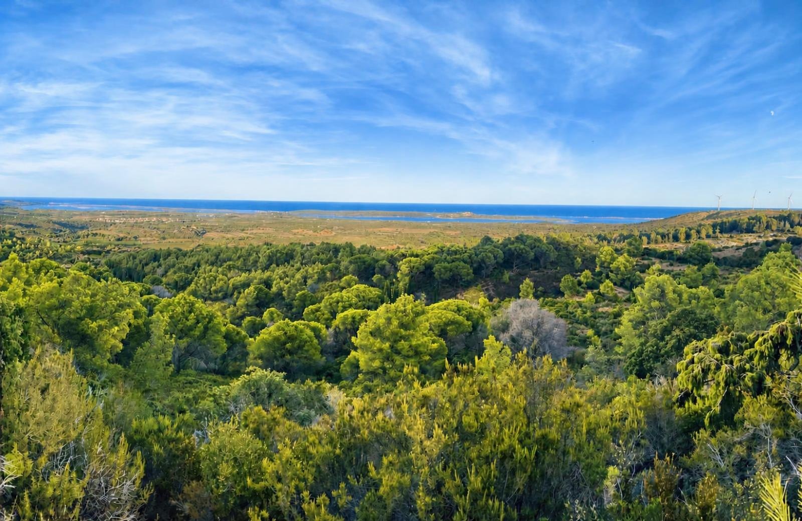 vue treilles